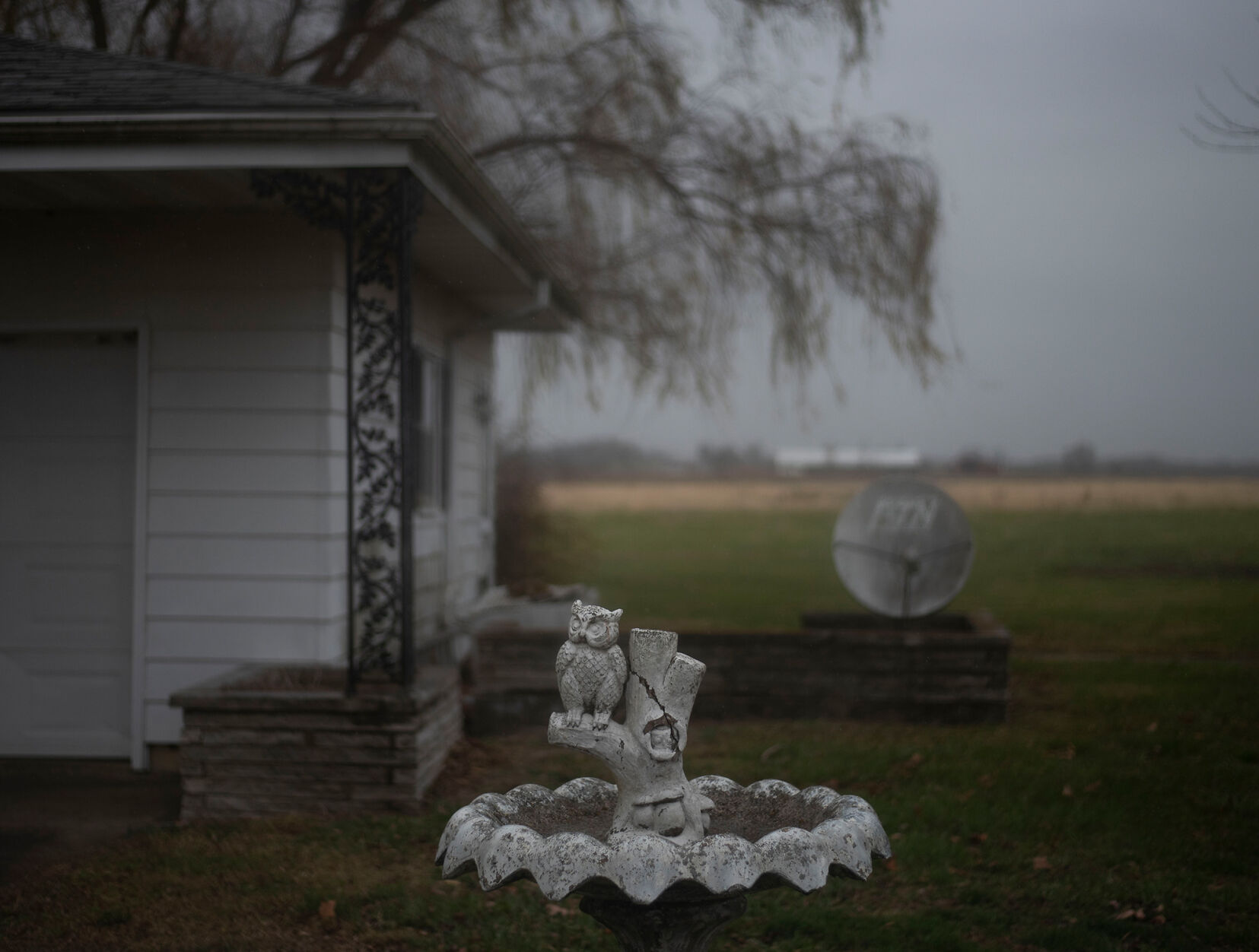 An owl statuette sits outside of my great-grandparents Ralph and Wilma Reed’s house